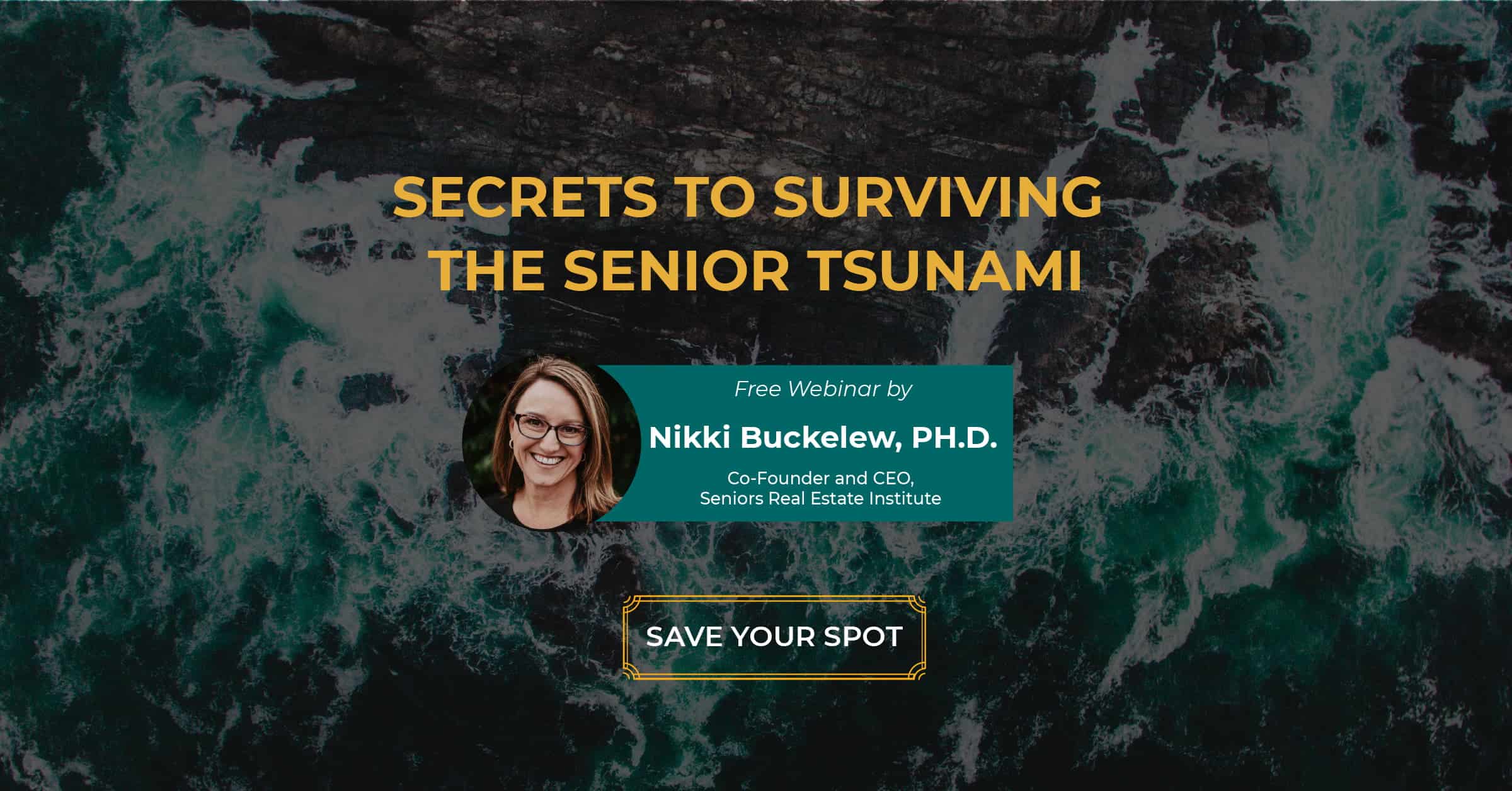 Graphic with text Surviving the Senior Tsunami - Free Webinar on December 11 at 1pm CST